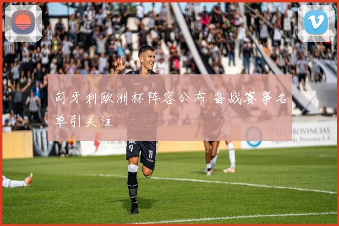 匈牙利欧洲杯阵容公布 备战赛事名单引关注